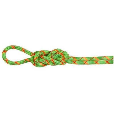 Mammut - 8.0 Alpine Core Protect Dry Rope - Halbseil Länge 40 m grün Mammut - 8.0 Alpine Core Protect Dry Rope - Halbseil Länge 40 m grün