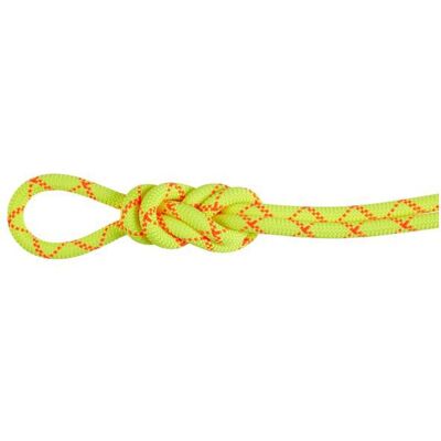 Mammut - 9.5 Alpine Core Protect Dry Rope - Einfachseil Länge 40 m gelb Mammut - 9.5 Alpine Core Protect Dry Rope - Einfachseil Länge 40 m gelb