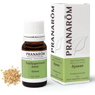 Pranarom Ätherisches Öl Ajowan 10 ml Pranarom Ätherisches Öl Ajowan 10 ml