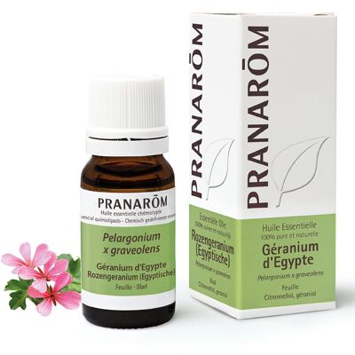 Pranarôm Pranarom Ägyptischer Geranbium 10 ml Pranarôm Pranarom Ägyptischer Geranbium 10 ml