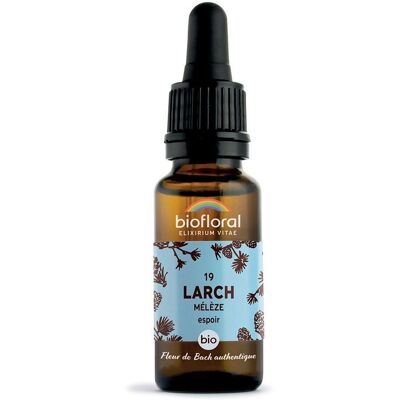 Biofloral 19 - Lärche 20 ml Biofloral 19 - Lärche 20 ml