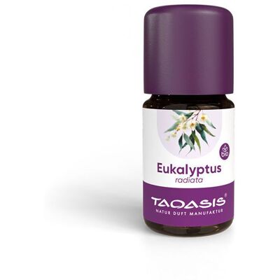 Taoasis® Eukalyptus radiata Öl Bio 5 ml Taoasis® Eukalyptus radiata Öl Bio 5 ml