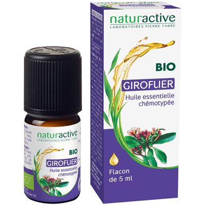 naturactive Ätherisches Nelkenöl bio 5 ml naturactive Ätherisches Nelkenöl bio 5 ml
