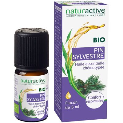 naturactive Ätherisches Öl Waldkiefer bio 5 ml naturactive Ätherisches Öl Waldkiefer bio 5 ml