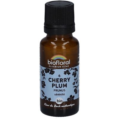 Biofloral 06 Kirschpflaume - Prunus 19 g Biofloral 06 Kirschpflaume - Prunus 19 g