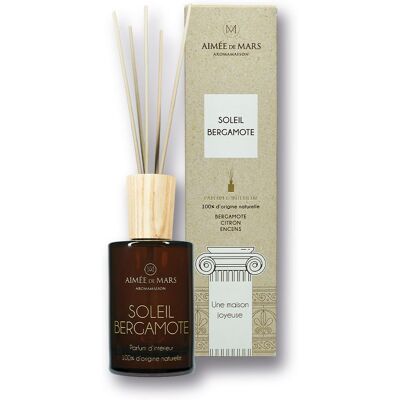 Aimée de Mars® Soleil Bergamotte parfum d'ambiance en bâtons 1 ct Aimée de Mars® Soleil Bergamotte parfum d'ambiance en bâtons 1 ct