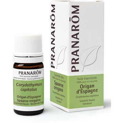 Pranarom Spanischer Oregano 5 ml Pranarom Spanischer Oregano 5 ml