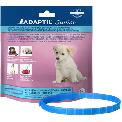 Adaptil® Halsband für junior Hunde 1 ct Adaptil® Halsband für junior Hunde 1 ct