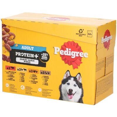 Pedigree Frischebeutel für Erwachsene Protein+ Multipack 1.02 kg Pedigree Frischebeutel für Erwachsene Protein+ Multipack 1.02 kg
