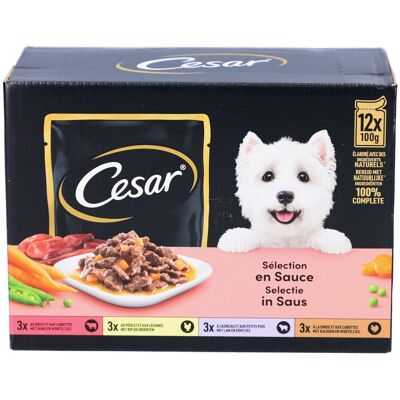 Cesar Auswahl in Sauce - Frischebeutel für erwachsene Hunde 1.2 kg Cesar Auswahl in Sauce - Frischebeutel für erwachsene Hunde 1.2 kg