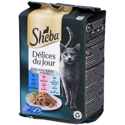 Sheba Délices du Jour - Gelee-Auswahl für erwachsene Katzen 50 g Sheba Délices du Jour - Gelee-Auswahl für erwachsene Katzen 50 g