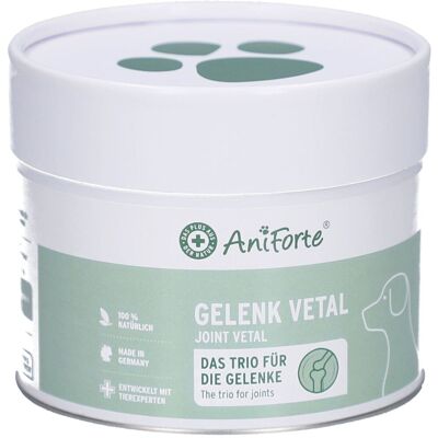 AniForte Gelenk Vital – Natürliches Gelenkpräparat für erwachsene und ältere Hunde 250 g AniForte Gelenk Vital – Natürliches Gelenkpräparat für erwachsene und ältere Hunde 250 g