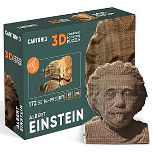 Romanowski Design 3D Puzzle Pappe, Einstein