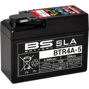 BS Battery Werkseitig aktivierte wartungsfreie SLA-Batterie - BTR4A-5