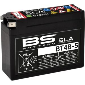 BS Battery Werkseitig aktivierte wartungsfreie SLA-Batterie - BT4B-5