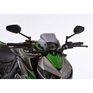 ERMAX Naked-Bike-Scheibe Acrylic (PMMA)