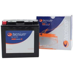 TECNIUM Werkseitig aktivierte wartungsfreie Batterie - BT12B-4