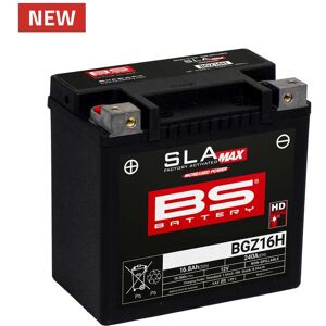 BS Battery SLA Max Batterie wartungsfrei werkseitig aktiviert - BGZ16H