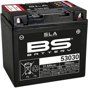 BS Battery Werksseitig aktivierte wartungsfreie SLA-Batterie - 53030