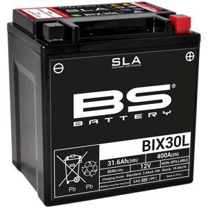 BS Battery Werkseitig aktivierte, wartungsfreie SLA-Batterie - BIX30L