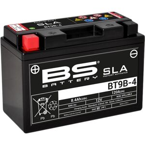 BS Battery Werkseitig aktivierte wartungsfreie SLA-Batterie - BT9B-4