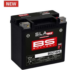 BS Battery SLA Max Batterie wartungsfrei werkseitig aktiviert - BGZ16HL