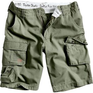 Surplus Trooper Shorts L Grün