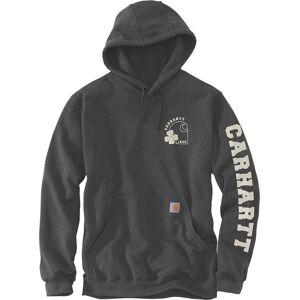 Carhartt Loose Fit Midweight Shamrock Hoodie S Schwarz Beige