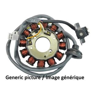 TECNIUM Stator Yamaha R6