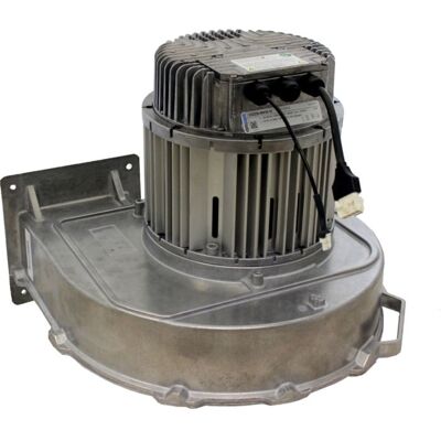 Wolf Gebläse-Gas G3G250-MW50 213861799 für MGK-2 1000 Wolf Gebläse-Gas G3G250-MW50 213861799 für MGK-2 1000