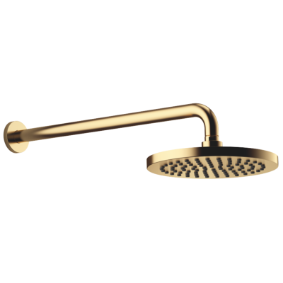 Dornbracht Regenbrause Wandanbindung 450mm Ausladung 220mm Kopf - Dusche Dornbracht Regenbrause Wandanbindung 450mm Ausladung 220mm Kopf - Dusche