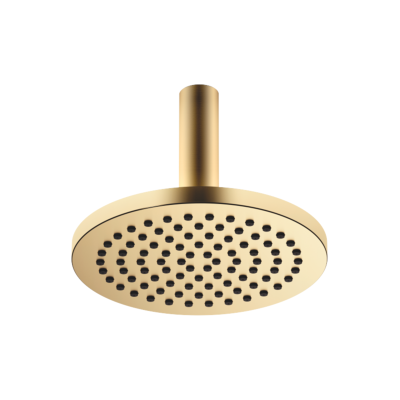 Dornbracht Regenbrause - 220mm Anti-Kalk - Messing gebürstet Dornbracht Regenbrause - 220mm Anti-Kalk - Messing gebürstet