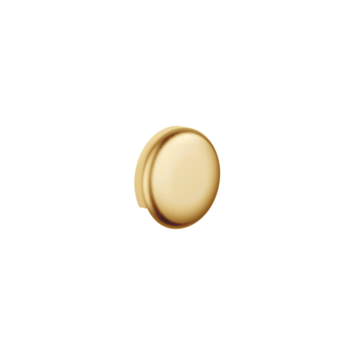 Dornbracht 36150970-28 Messing gebürstet Rohrunterbrecher - Neutral Dornbracht 36150970-28 Messing gebürstet Rohrunterbrecher - Neutral