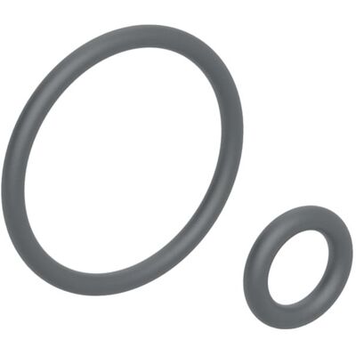 Geberit Ersatz-O-Ring für Duscharm - O-ring Geberit Ersatz-O-Ring für Duscharm - O-ring