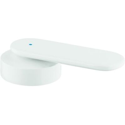 Grohe Modell 48015LS0 Blau Wandmontage Griff Grohe Modell 48015LS0 Blau Wandmontage Griff