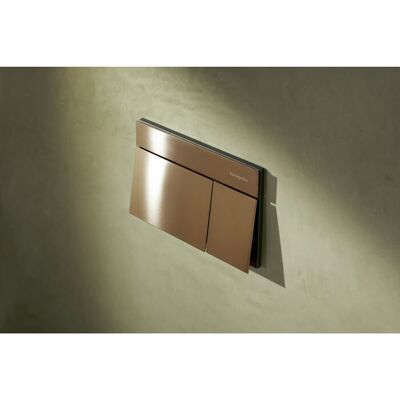 Hansgrohe iFrame Element E Betätigungsplatte 66003140 für 2-Mengen-Spülung, Metall, brushed bronze Hansgrohe iFrame Element E Betätigungsplatte 66003140 für 2-Mengen-Spülung, Metall, brushed bronze