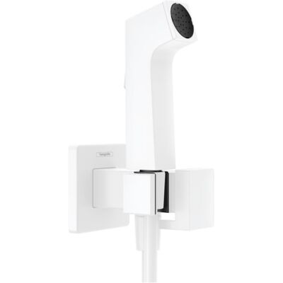 Hansgrohe Bidette Duschkopf - Wassersparend, Mattweiß, 28 mm, mit Halter & Schlauch Hansgrohe Bidette Duschkopf - Wassersparend, Mattweiß, 28 mm, mit Halter & Schlauch