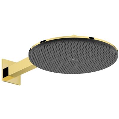 Hansgrohe Raindance Alive S Duschkopf 24541990 2 Strahlarten wassersparend mit Brausearm, EcoSmart, polished gold optic Hansgrohe Raindance Alive S Duschkopf 24541990 2 Strahlarten wassersparend mit Brausearm, EcoSmart, polished gold optic