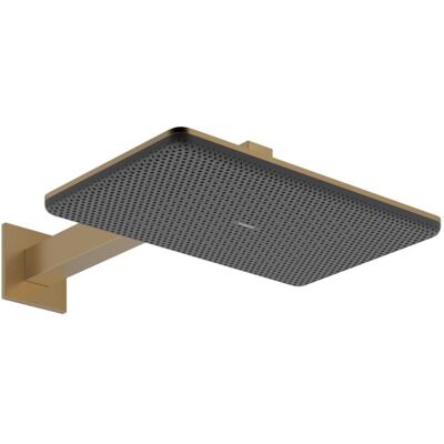 Hansgrohe Raindance Alive Q Duschkopf 24551140 2 Strahlarten wassersparend mit Brausearm, EcoSmart, brushed bronze Hansgrohe Raindance Alive Q Duschkopf 24551140 2 Strahlarten wassersparend mit Brausearm, EcoSmart, brushed bronze