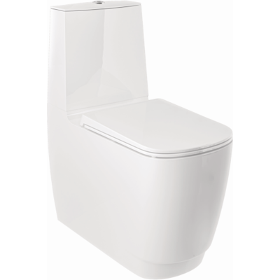 Kludi RESA S Spiralflush-UNI-Trap WC 27WCB0143 versteckte Befestigung weiß glänzend Kludi RESA S Spiralflush-UNI-Trap WC 27WCB0143 versteckte Befestigung weiß glänzend