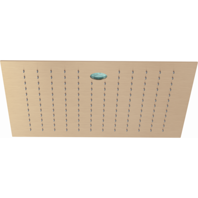 Kludi ASANA Kopfbrause 69430N1-00 44x44 cm, SummerRain/Ambience Light Brushed Bronze Kludi ASANA Kopfbrause 69430N1-00 44x44 cm, SummerRain/Ambience Light Brushed Bronze