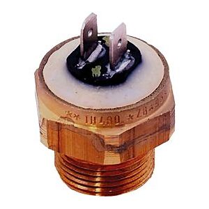 Wolf Sicherungsthermostat Pumpe 95C 2744658 für BVG-23/30