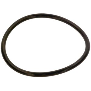 Bosch Ersatzteil TTNR: 87185725380 87185725380 O-Ring 120,02x6,99-N everp Bosch Ersatzteil TTNR: 87185725380 87185725380 O-Ring 120,02x6,99-N everp