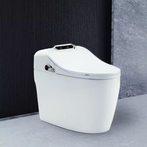 Whirlpool Dusch WC Komplettanlage Toilette