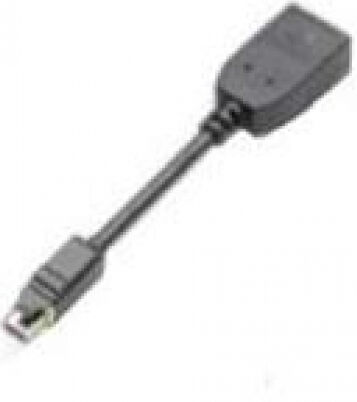 PNY Mini-Displayport zu Displayport Adapter