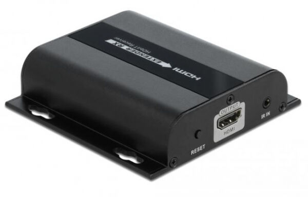 DeLock 65951 - HDMI Empfänger für Video über IP