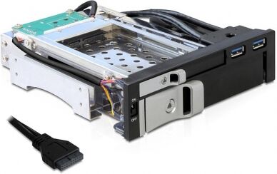 DeLock 47209 - 5.25 Wechselrahmen für 1 x 2.5 + 1 x 3.5 SATA HDD + 2 x USB 3.0 Ports