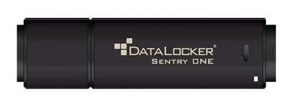 DataLocker Sentry One Secure Flash Drive - 32GB - USB3.1 Gen1