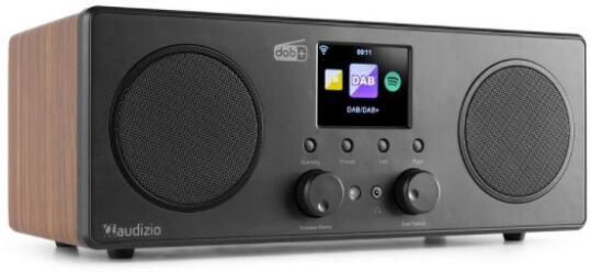 Divers Audizio Bari - Internet Radio / DAB+ / FM / BT - Holzoptik