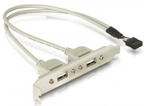 DeLock 71000 - Slotblech intern USB 5pin + 4pin zu 2x USB2.0 extern